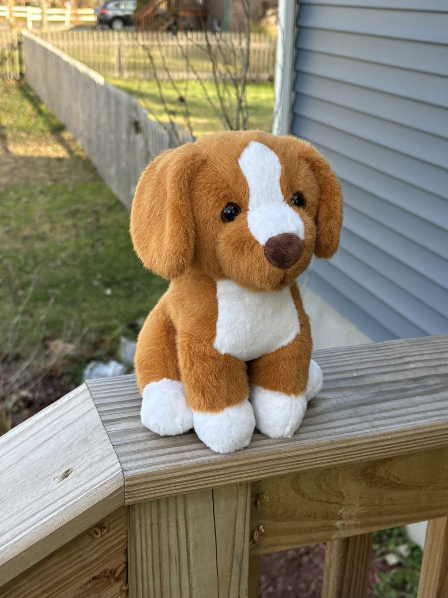 Toller Plush